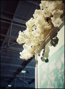 ©SariGoodfriend_Bunny_Williams_018 21 flowers