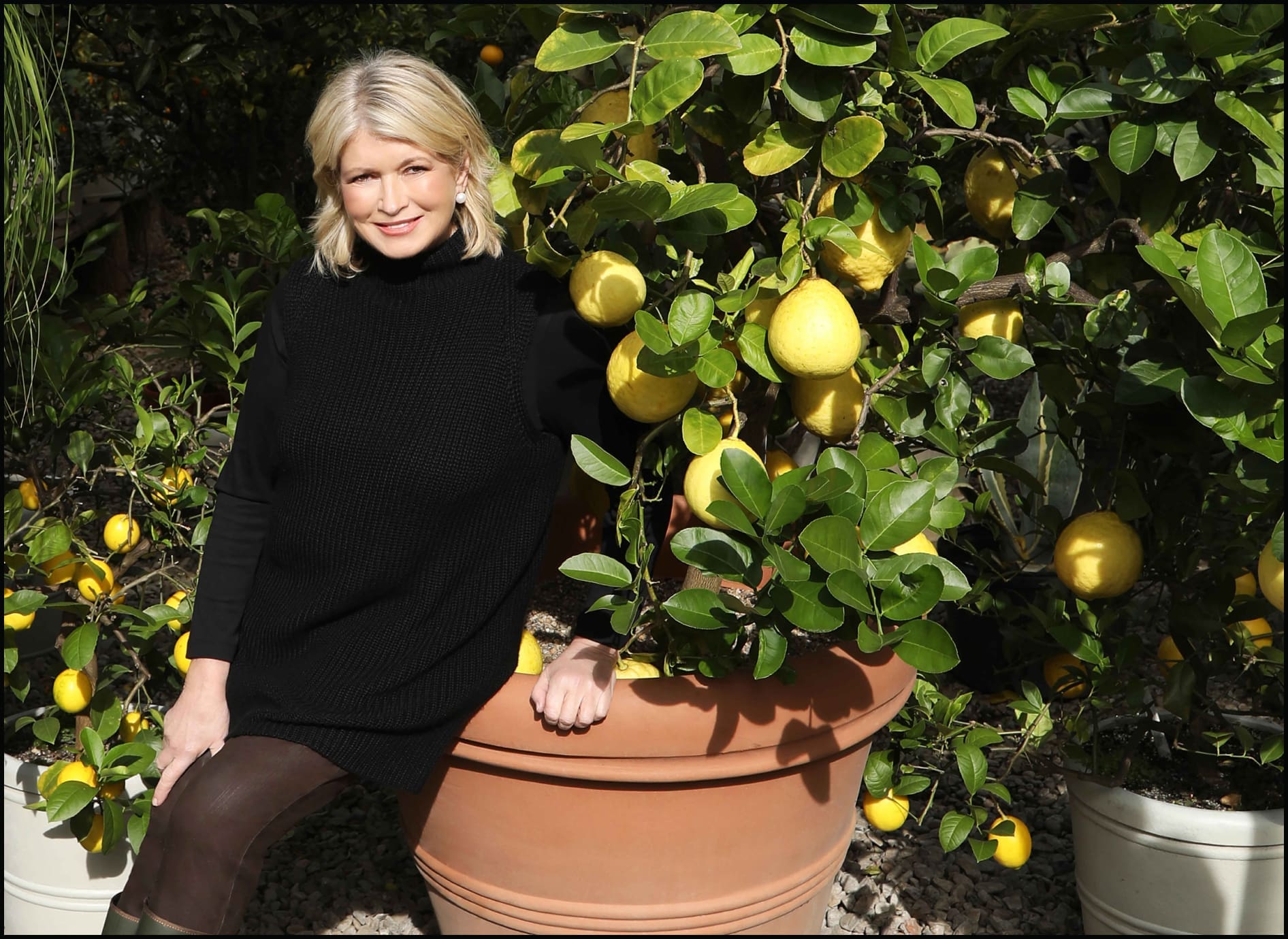 Archive_MarthaStewart Martha Stewart standing next to a lemon tree